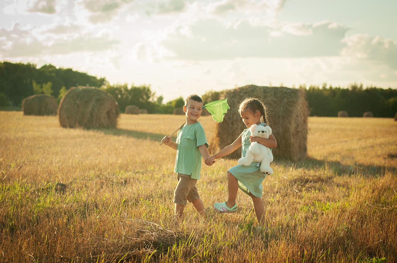 石家庄市林茂木制品有限公司